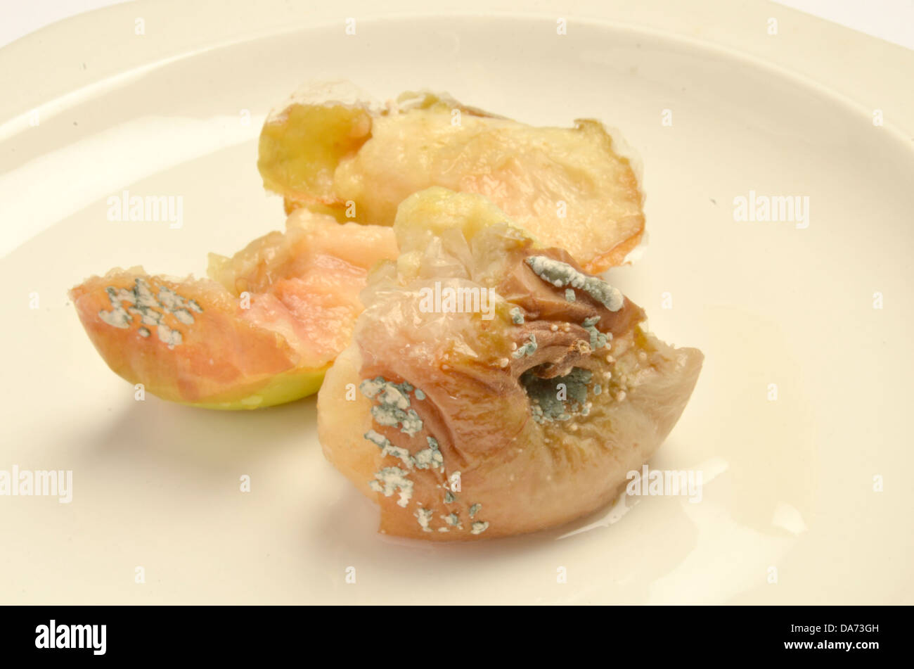 Rotten, moldy apple on a plate. Stock Photo