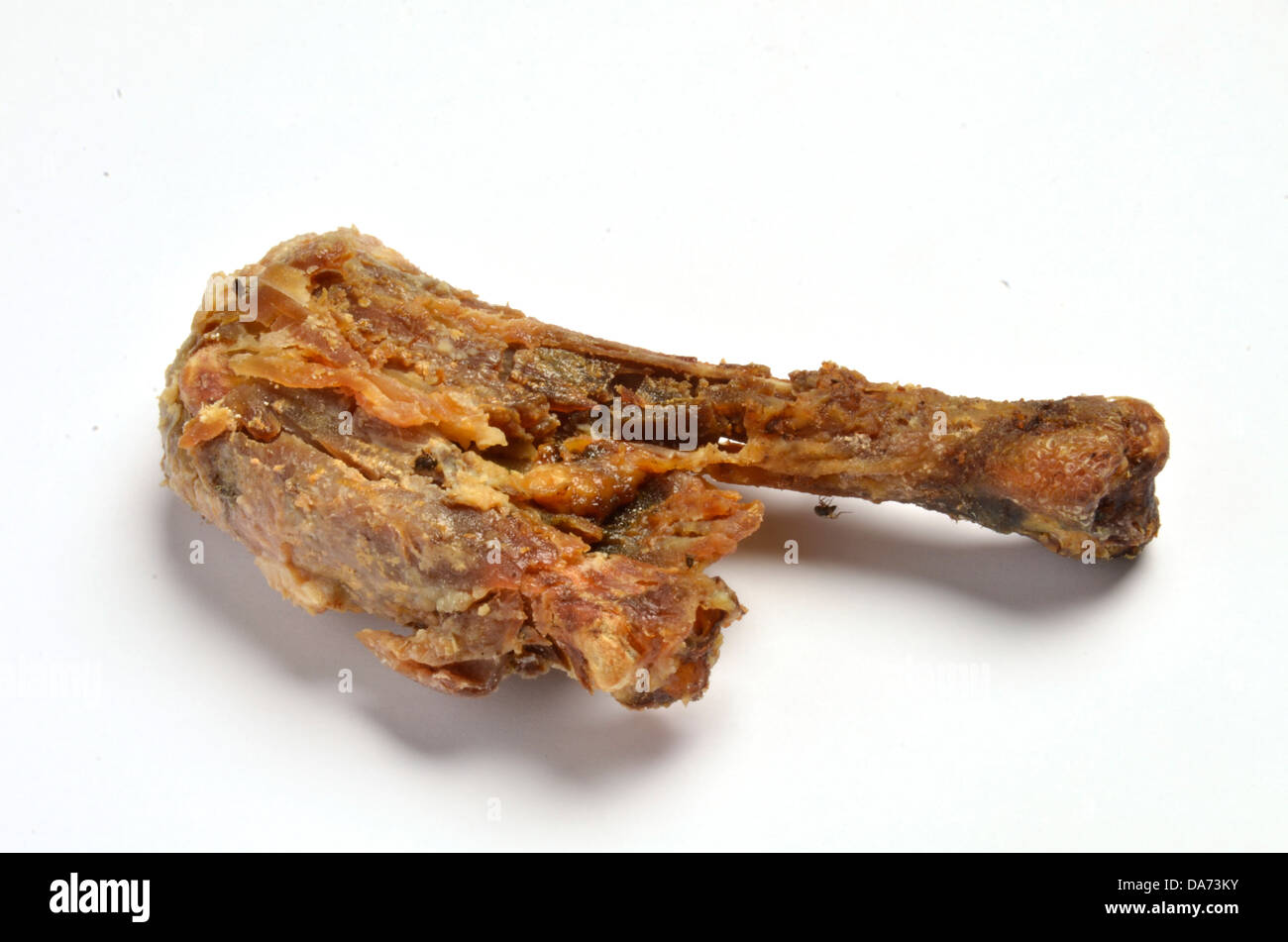 Old decomposing, dried rotten chicken piece Stock Photo