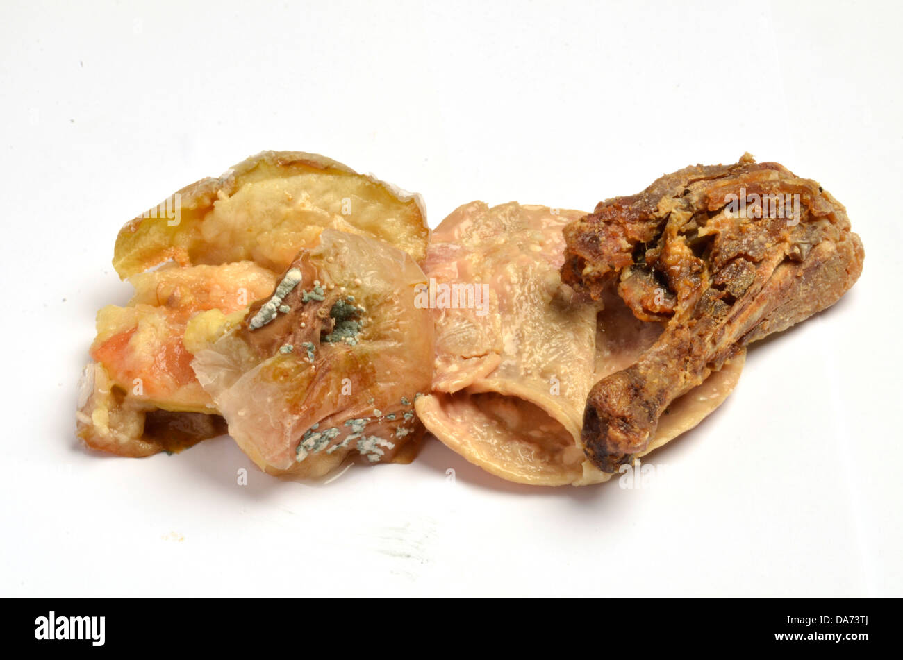 Old decomposing, putrid, rotten apple, ham and chicken pieces Stock Photo