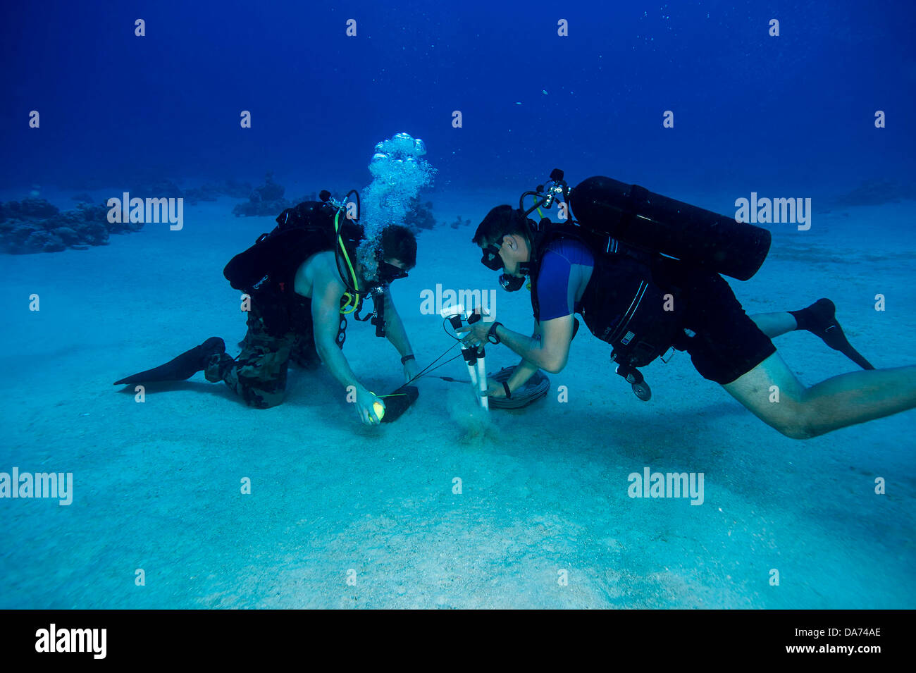 US Navy Explosive Ordnance Disposal diver and a sailor from the Royal Jordanian Navy place a charge for an underwater detonation during Exercise Eager Lion June 13, 2013 in Aqaba, Jordan. Stock Photo