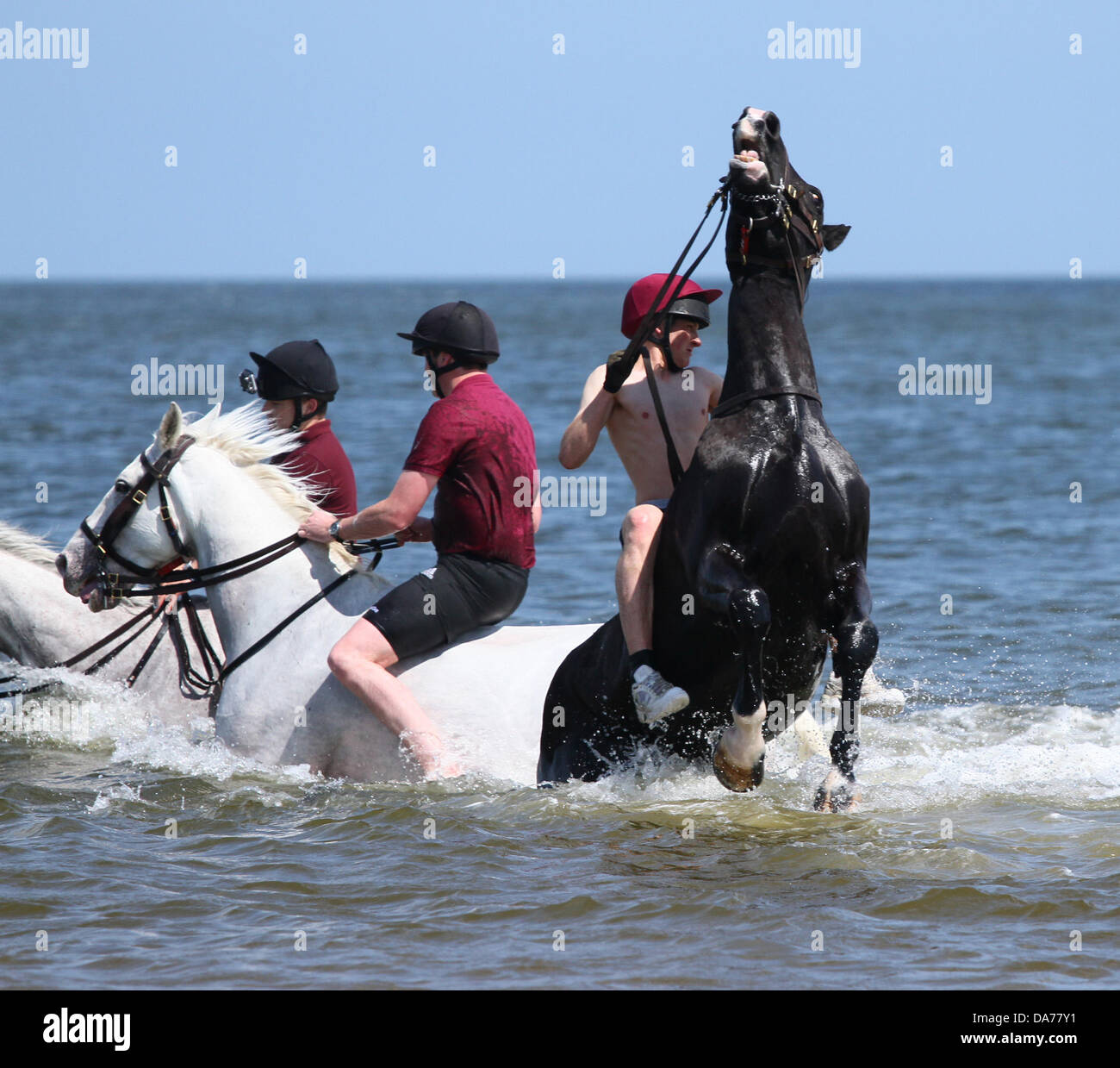 Unseated horse hi-res stock photography and images - Alamy
