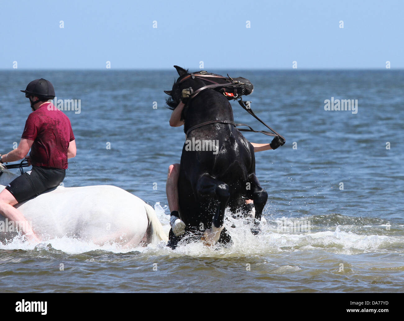 Unseated horse hi-res stock photography and images - Alamy