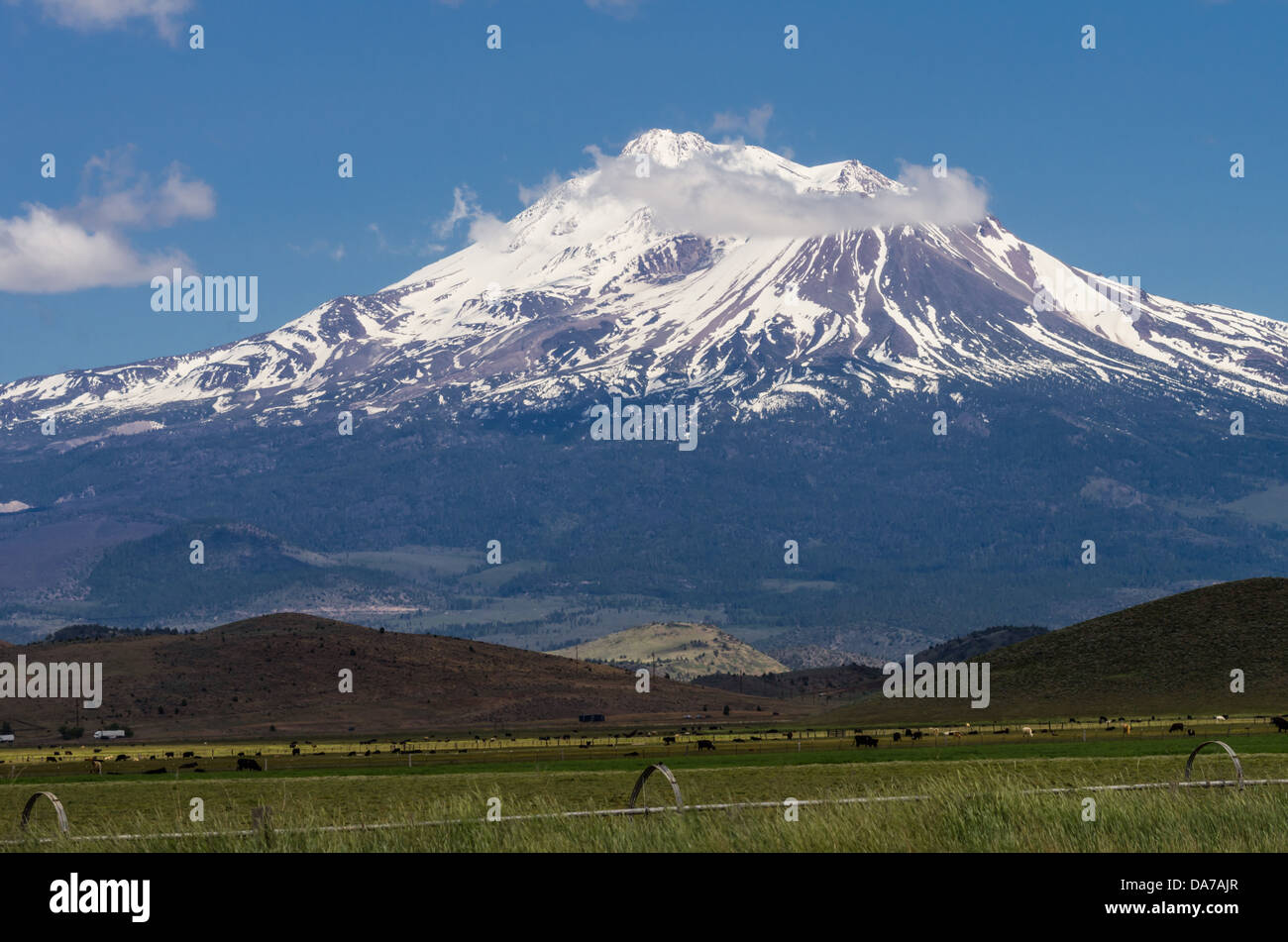 Grenada California United States. View of Mt Shasta showing irrigation