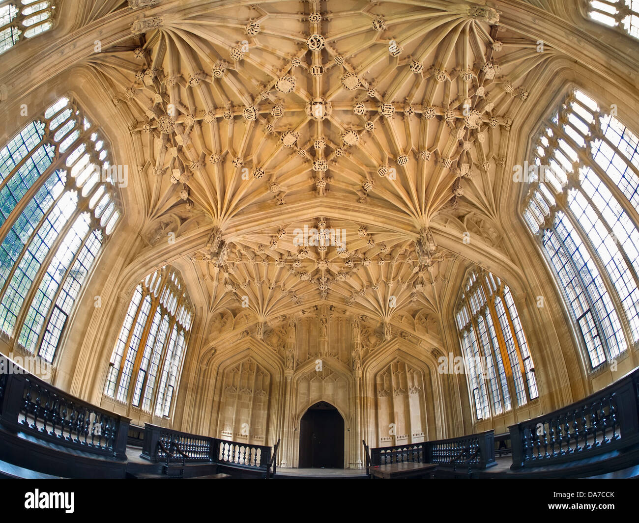 The ceiling of the Divinity School, Bodleian Library, Oxford Stock ...