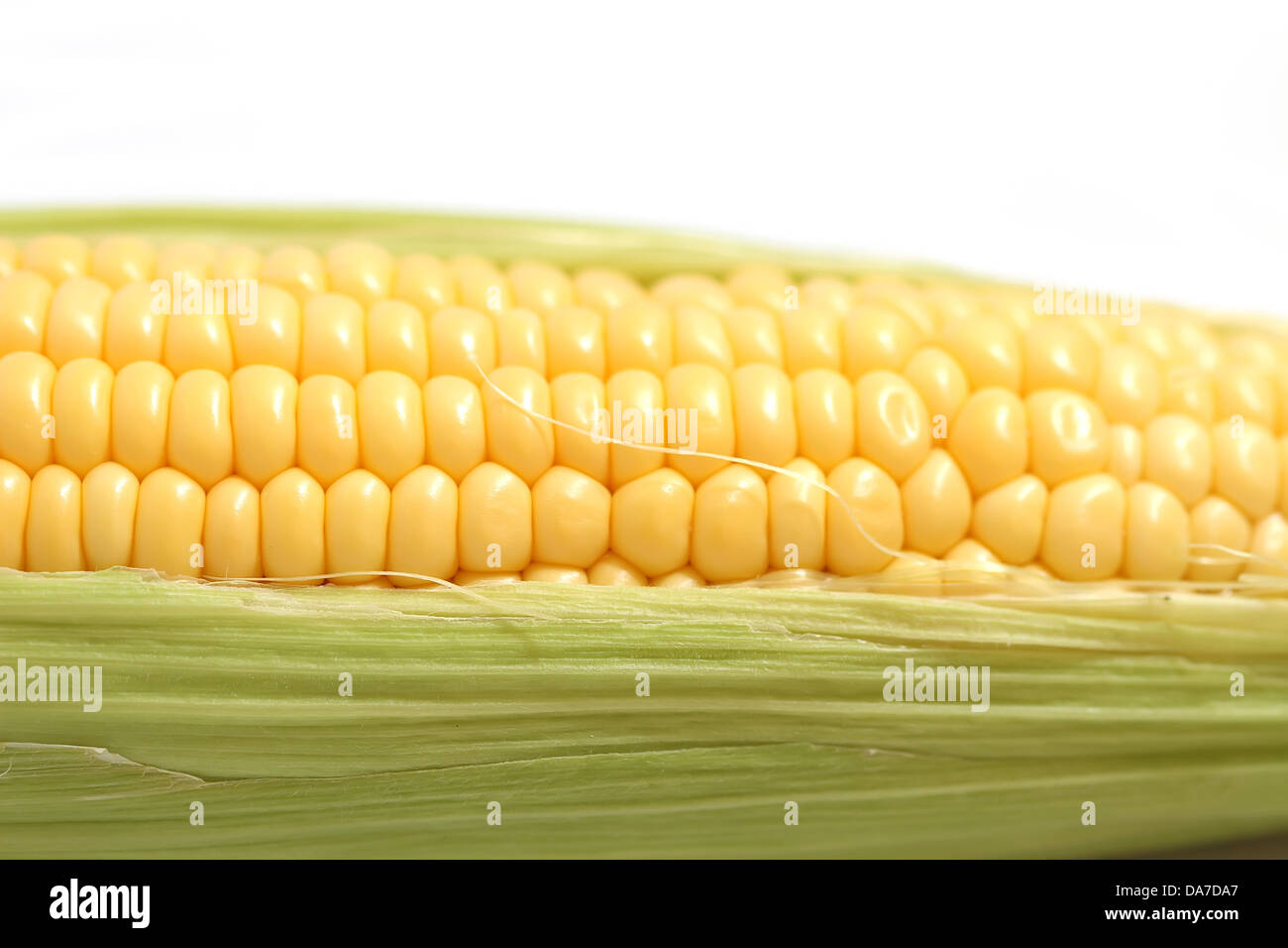 Close up of corn rows hi-res stock photography and images - Alamy