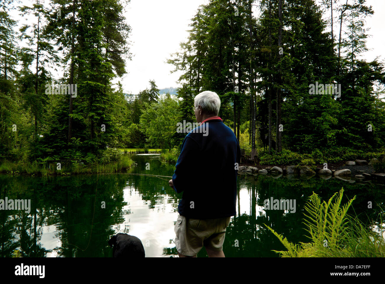 Man & dog standing edge trout pond practising fly casting Gold River