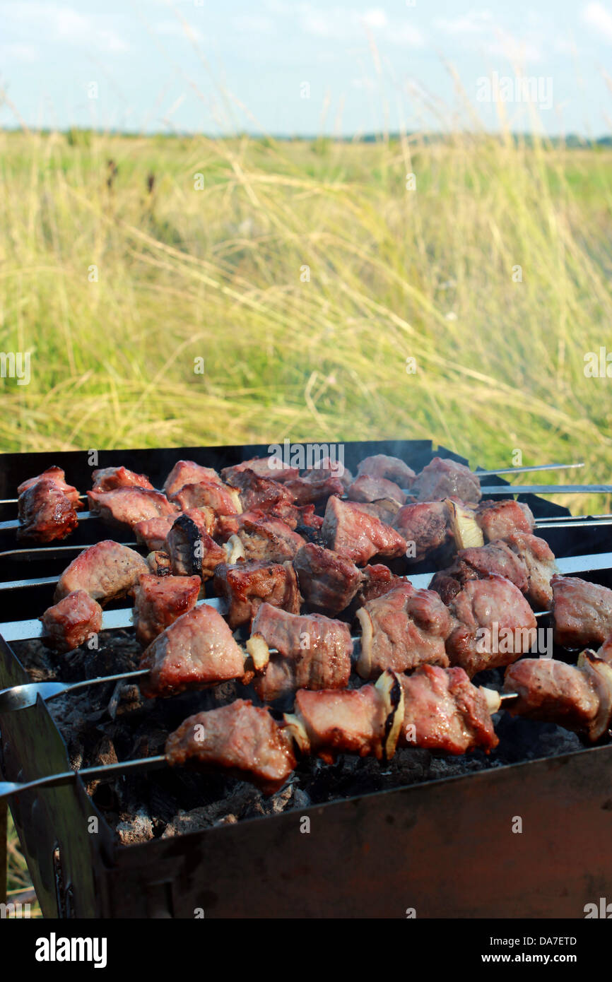 image of appetizing barbecue on the nature Stock Photo
