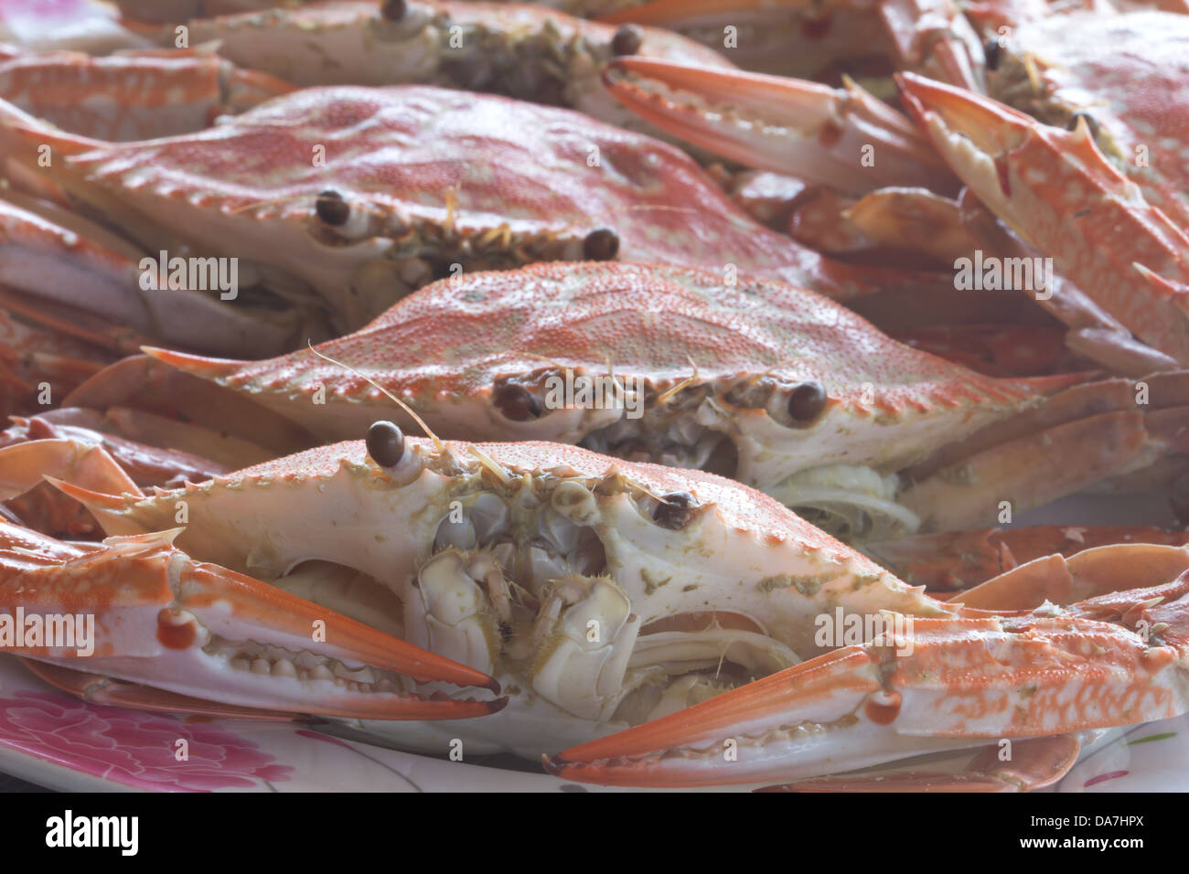 Big red fresh steamed crabs to eat Stock Photo Alamy