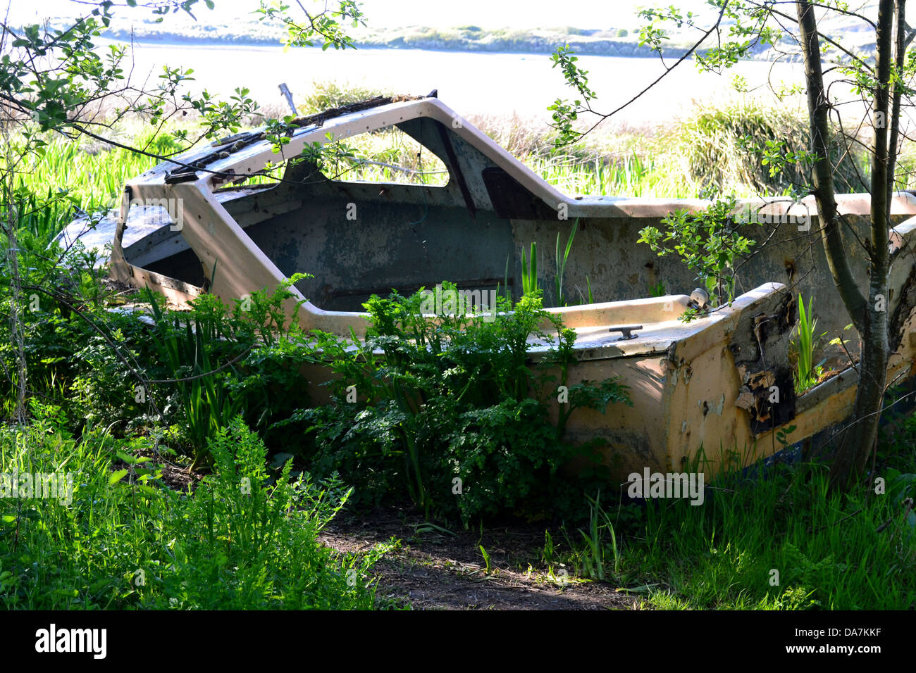 Abandoned and weathered boat, overgrown with weeds and wildflowers on the bank of an Estuary Stock Photo