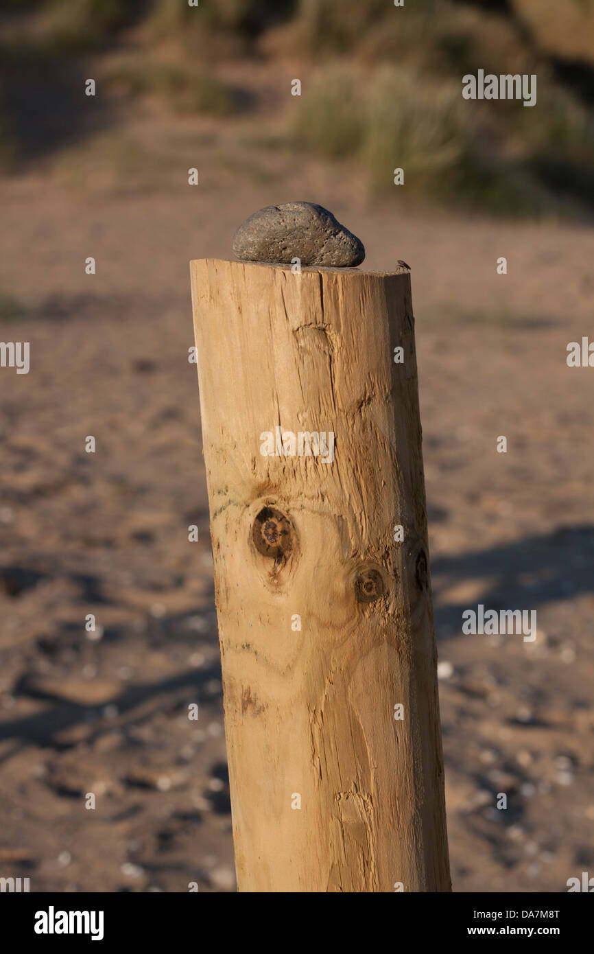 A fly appreciating a stone placed on the top of a wooden pole Stock Photo