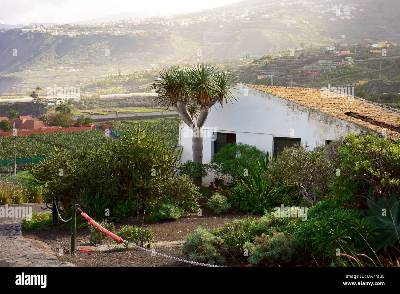 View of Puerto de la Cruz, Tenerife Stock Photo