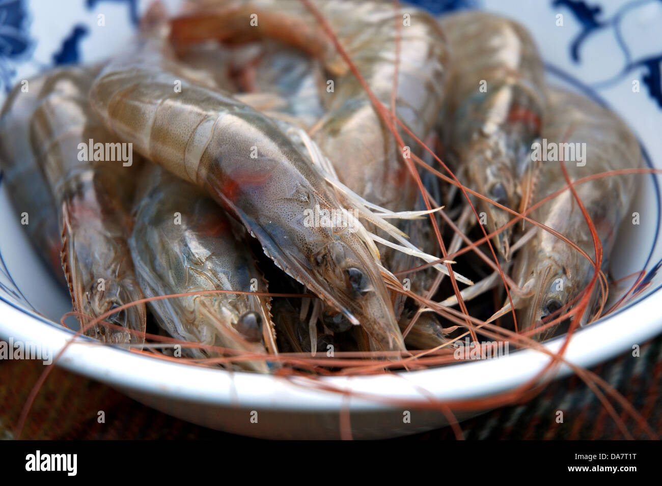 Bowl of raw tiger prawns Stock Photo Alamy