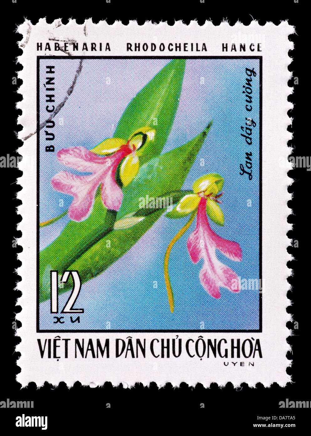 Postage stamp from Vietnam depicting the red-lipped Habenaria (Habenaria rhodocheila). Stock Photo