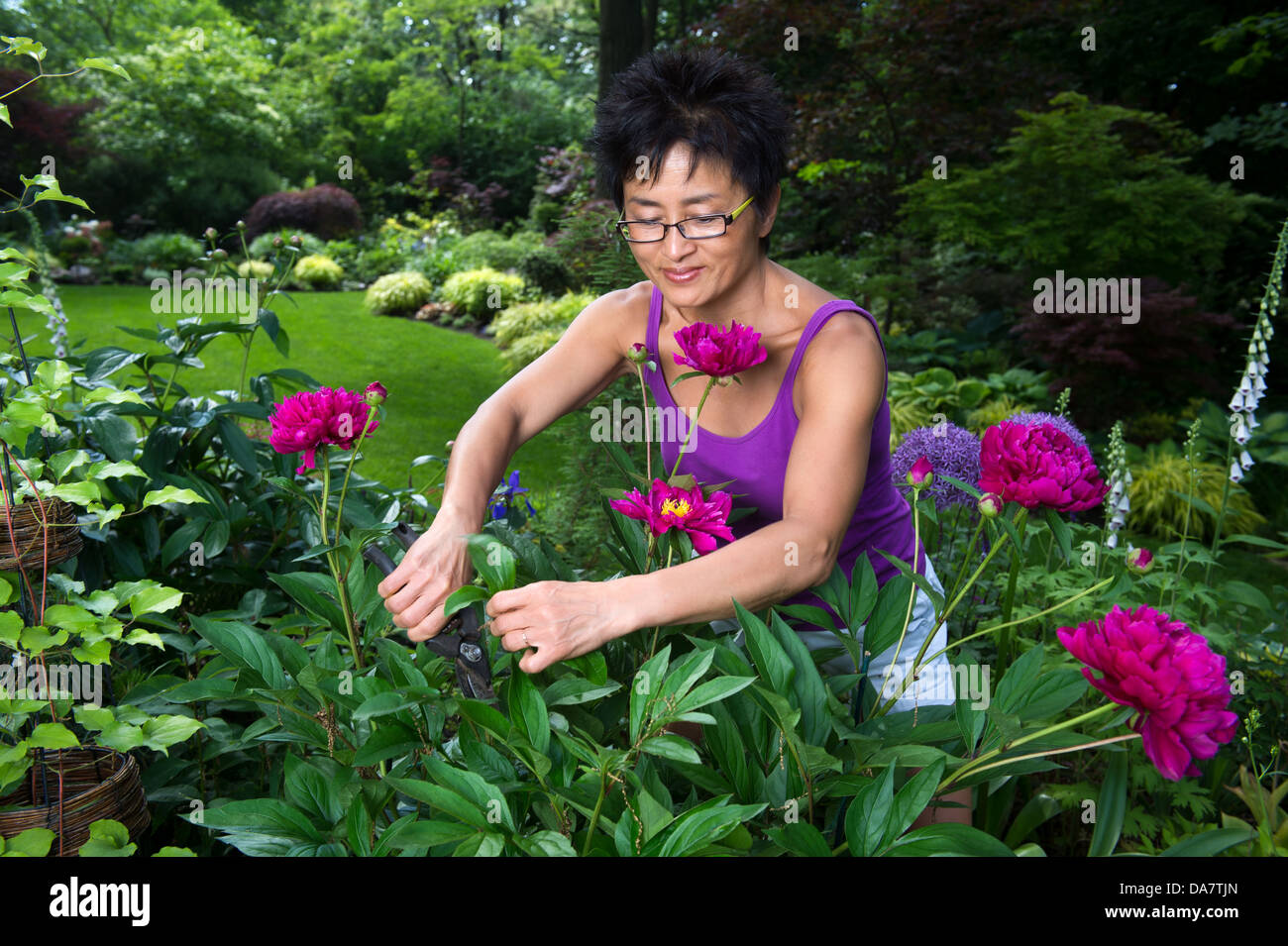 An Asian woman works on pruning plants in her beautiful garden Stock Photo