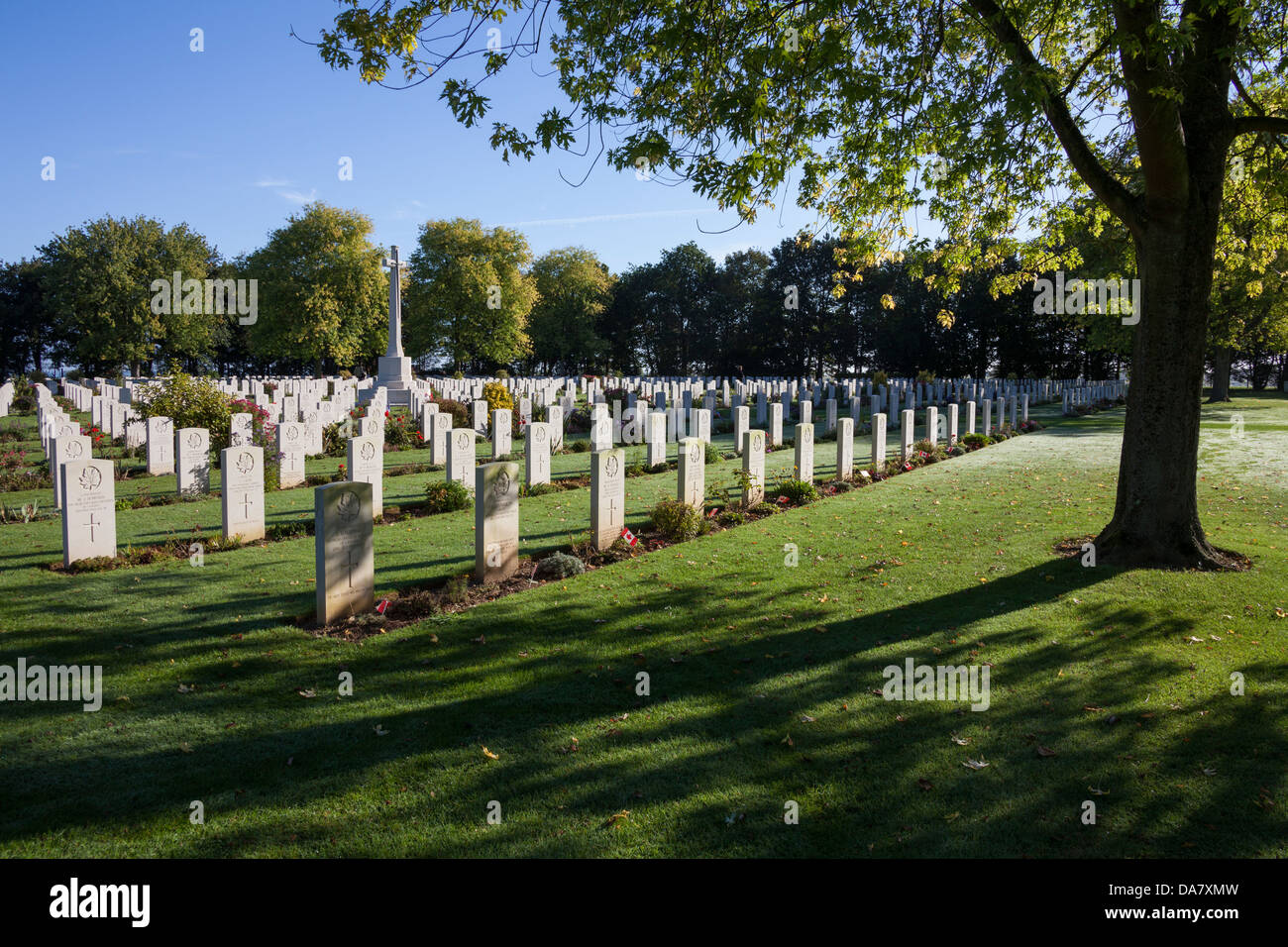 Graves and a Maple tree at the Bény-sur-Mer Canadian War Cemetery Stock Photo