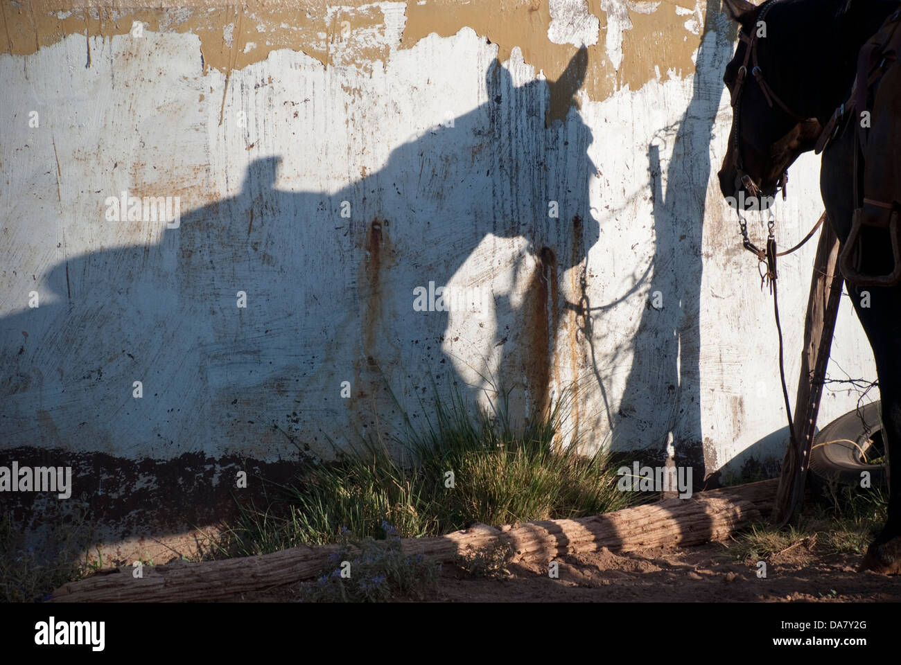A tired horse examines his shadow on the side of a water tank on a ranch near Carrizozo, New Mexico. Stock Photo