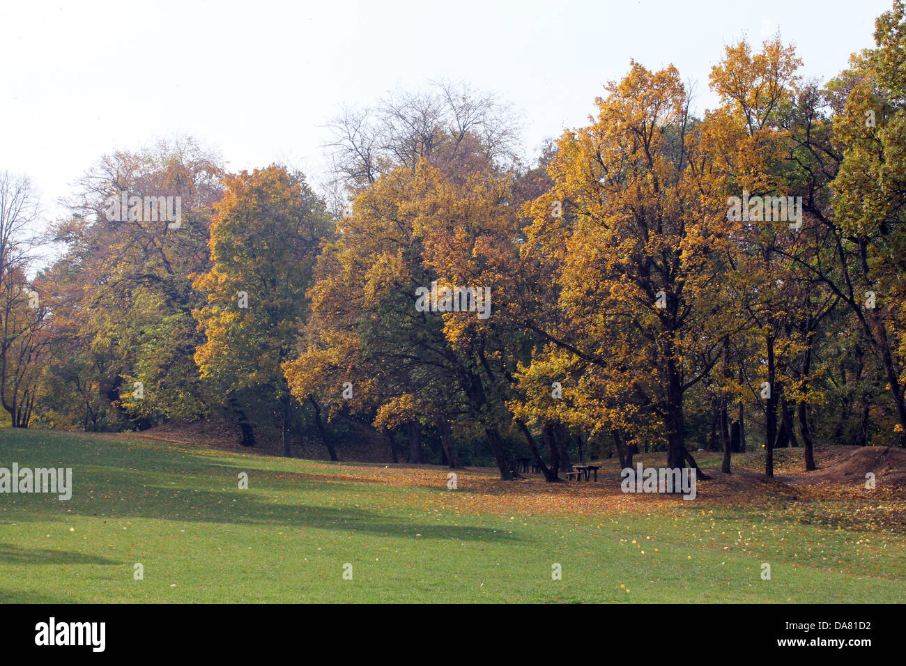 Beautiful nature in fall colors Stock Photo - Alamy