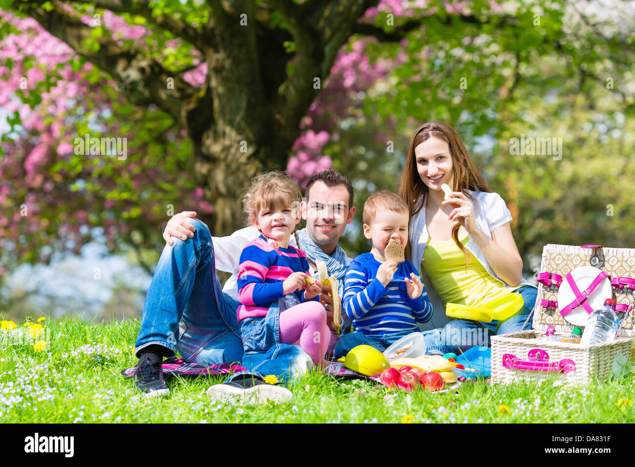 Happy family with daughter and son sitting in a meadow in summer eating food on picnic Stock Photo