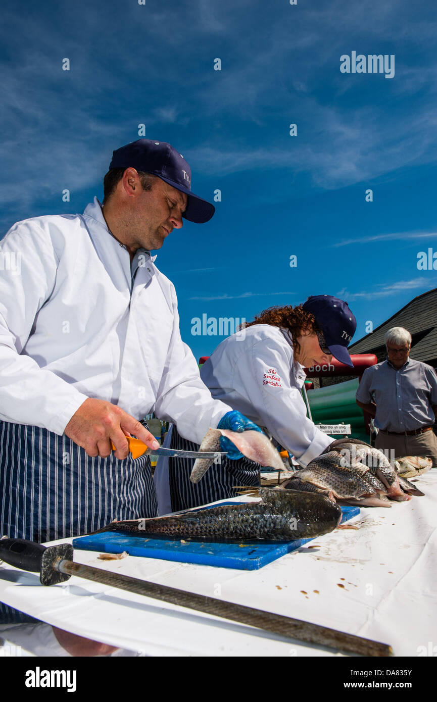 Aberaeron, Ceredigion, Wales , UK, Sunday 7th July 2013  Preparing fresh grey mullett fish at the  16th annual Cardigan Bay Seafood festival on the quayside at Aberaeron on the west Wales Coast. Hundreds of visitors enjoyed the warm bright sunshine and the demonstrations of seafood cookery by some of the leading chefs in Wales  photo Credit: keith morris/Alamy Live News Stock Photo
