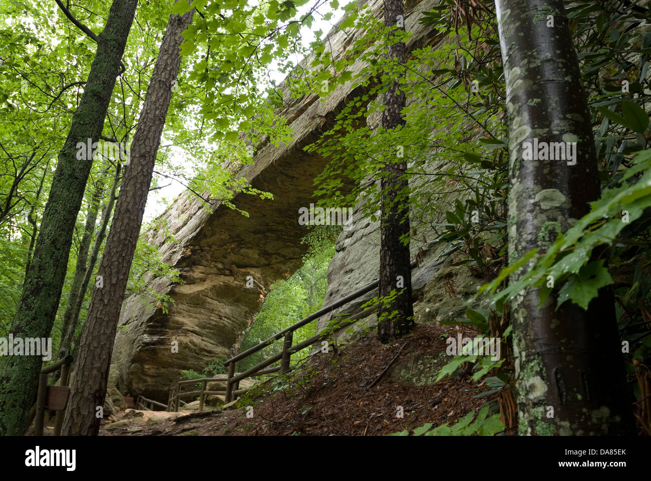 Natural Bridge State Resort Park, Slade, Kentucky, United States of America Stock Photo