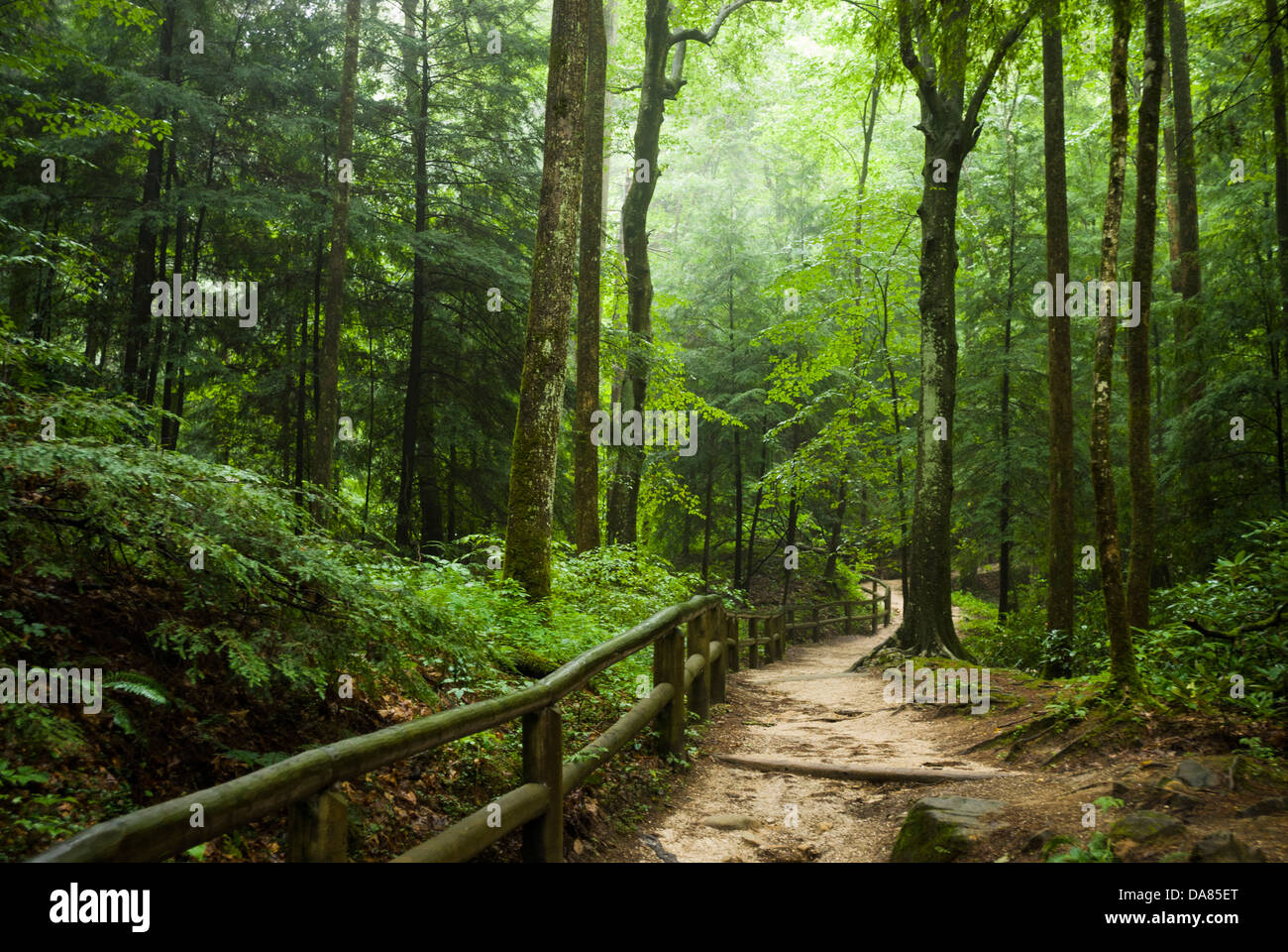 Natural Bridge State Resort Park, Slade, Kentucky, United States of America Stock Photo