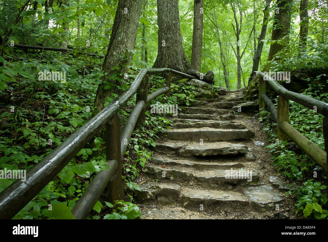 Natural Bridge State Resort Park, Slade, Kentucky, United States of America Stock Photo