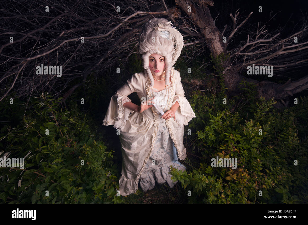 A model dressed as Marie Antoinette poses in Halifax, Nova Scotia, Canada, July 31, 2012. (Adrien Veczan) Stock Photo