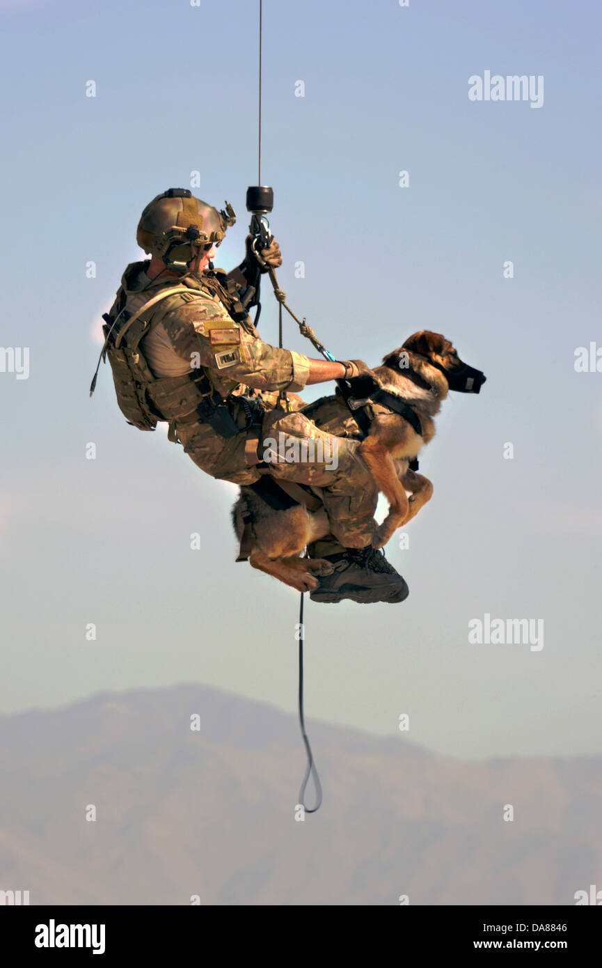 US Army tactical explosive detection dogs and handlers participate in