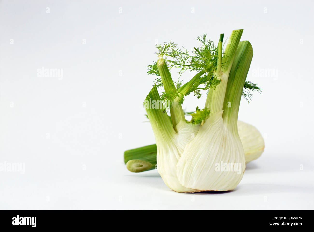 A bulb of fennel Stock Photo