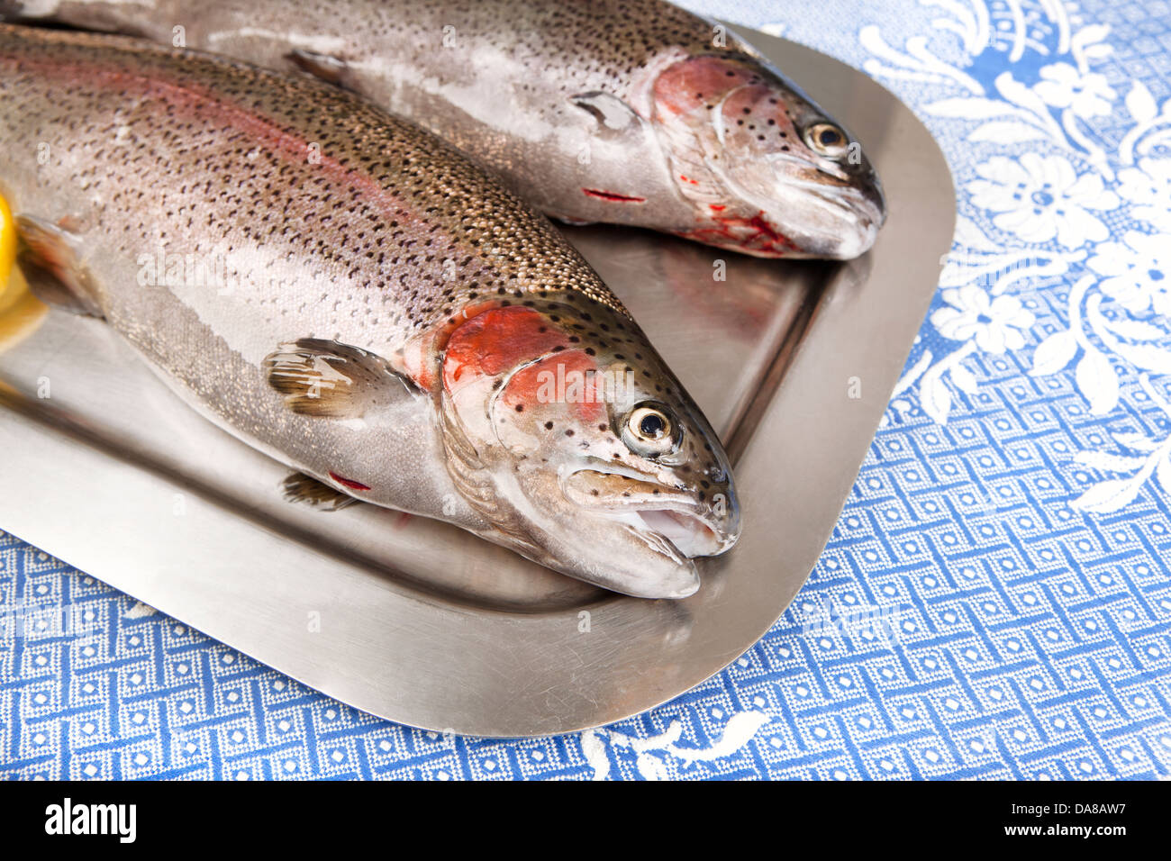 two fresh trout served on a tray Stock Photo