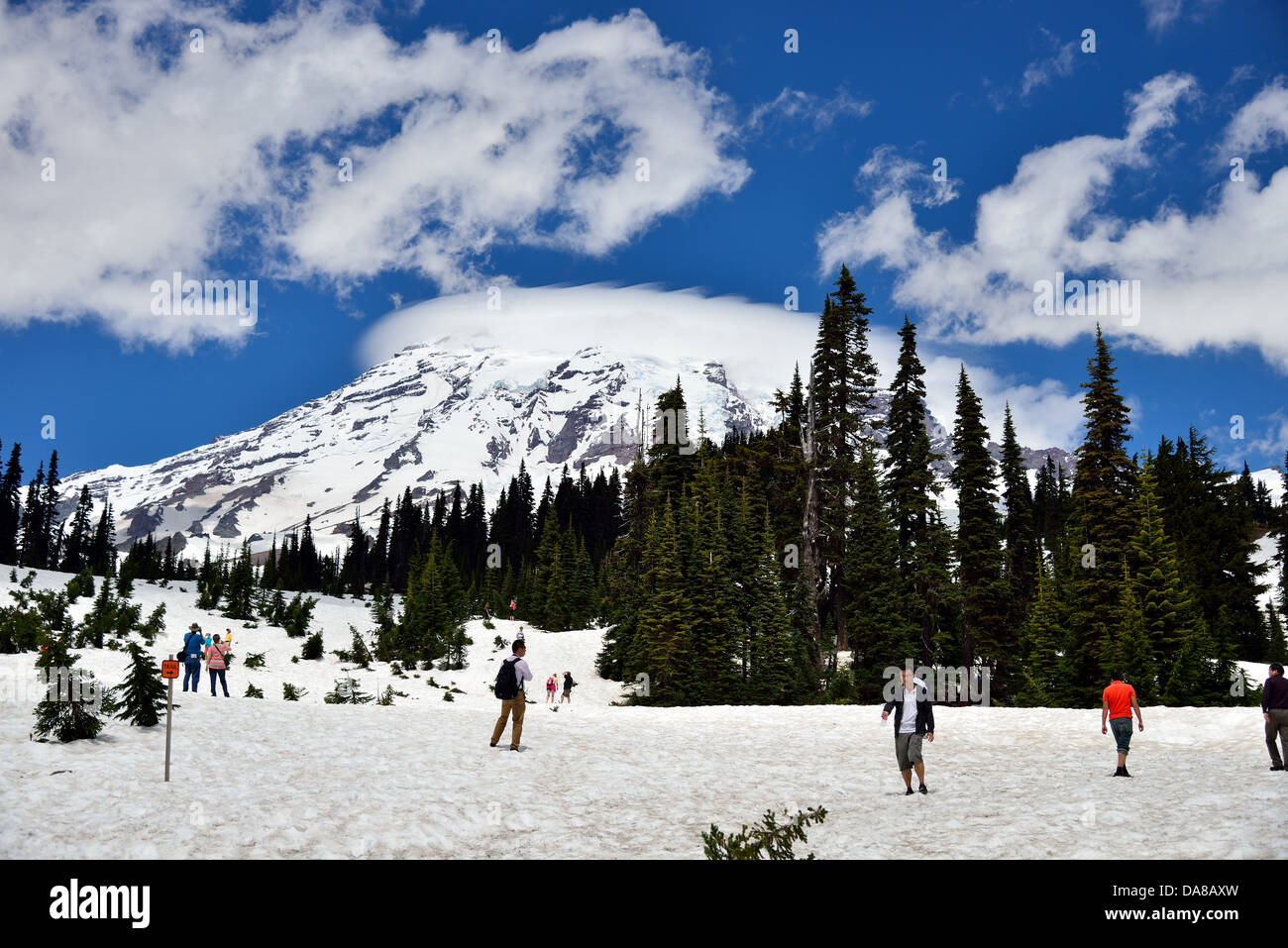 Visitors walking on snow under Mount Rainier. Mt. Rainier National Park, Washington, USA. Stock Photo
