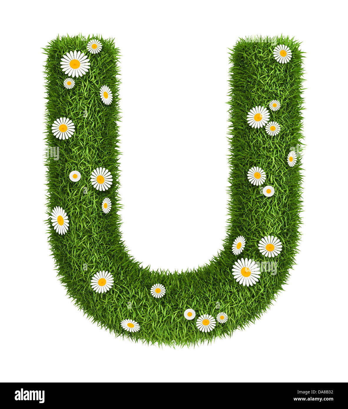 Letter U made of real natural flowers and leaves - Free Photo (5krV30) -  Noun Project