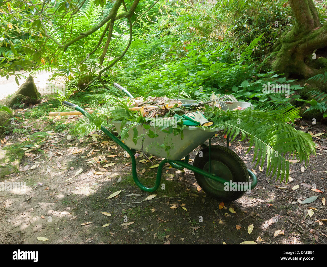 Gardener's wheel barrow and rake used for clearing away weeds at a wooded area of a very large garden. Stock Photo