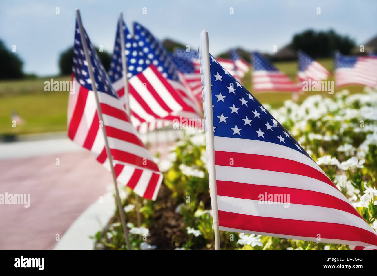 Row of American flags displayed on the street side in celebration of