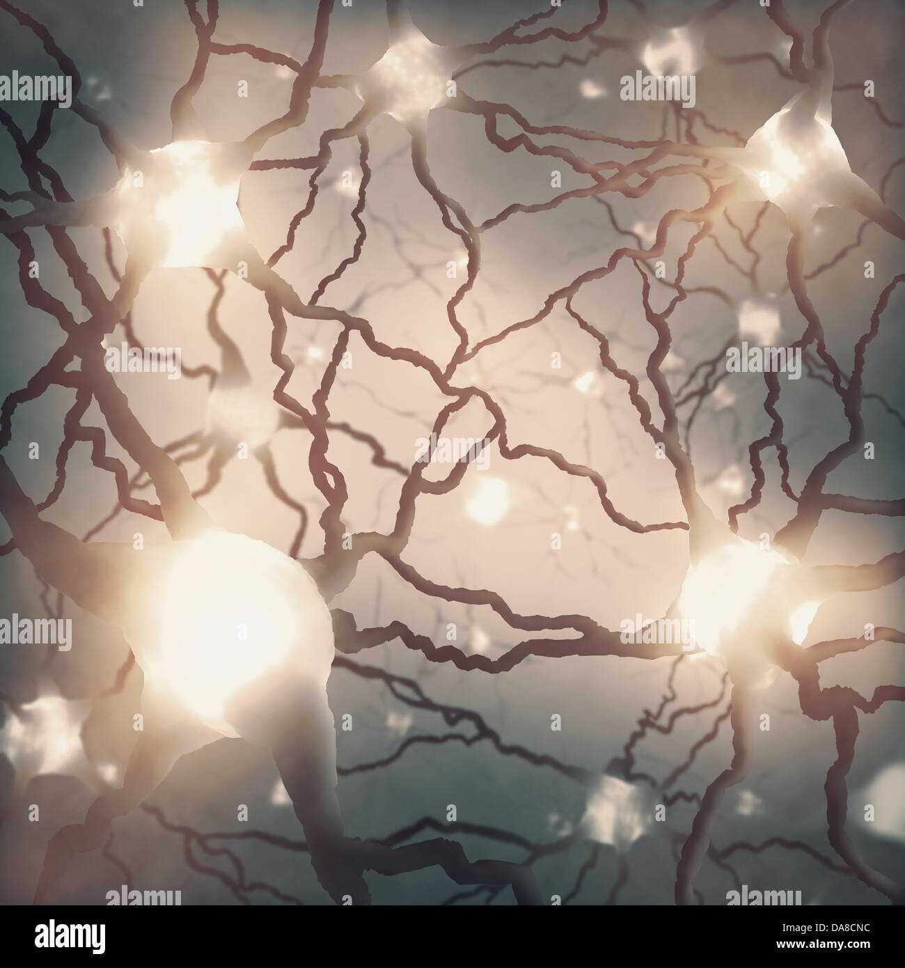 Neuron microscope hi-res stock photography and images - Alamy