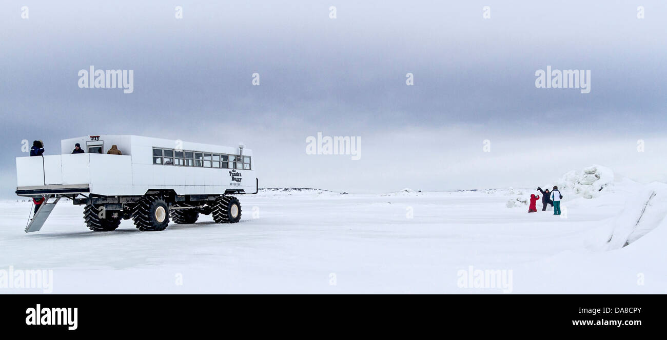 people playing in the snow on the tundra outside Churchill, Manitoba, Canada with Tundra Buggy in view. Stock Photo