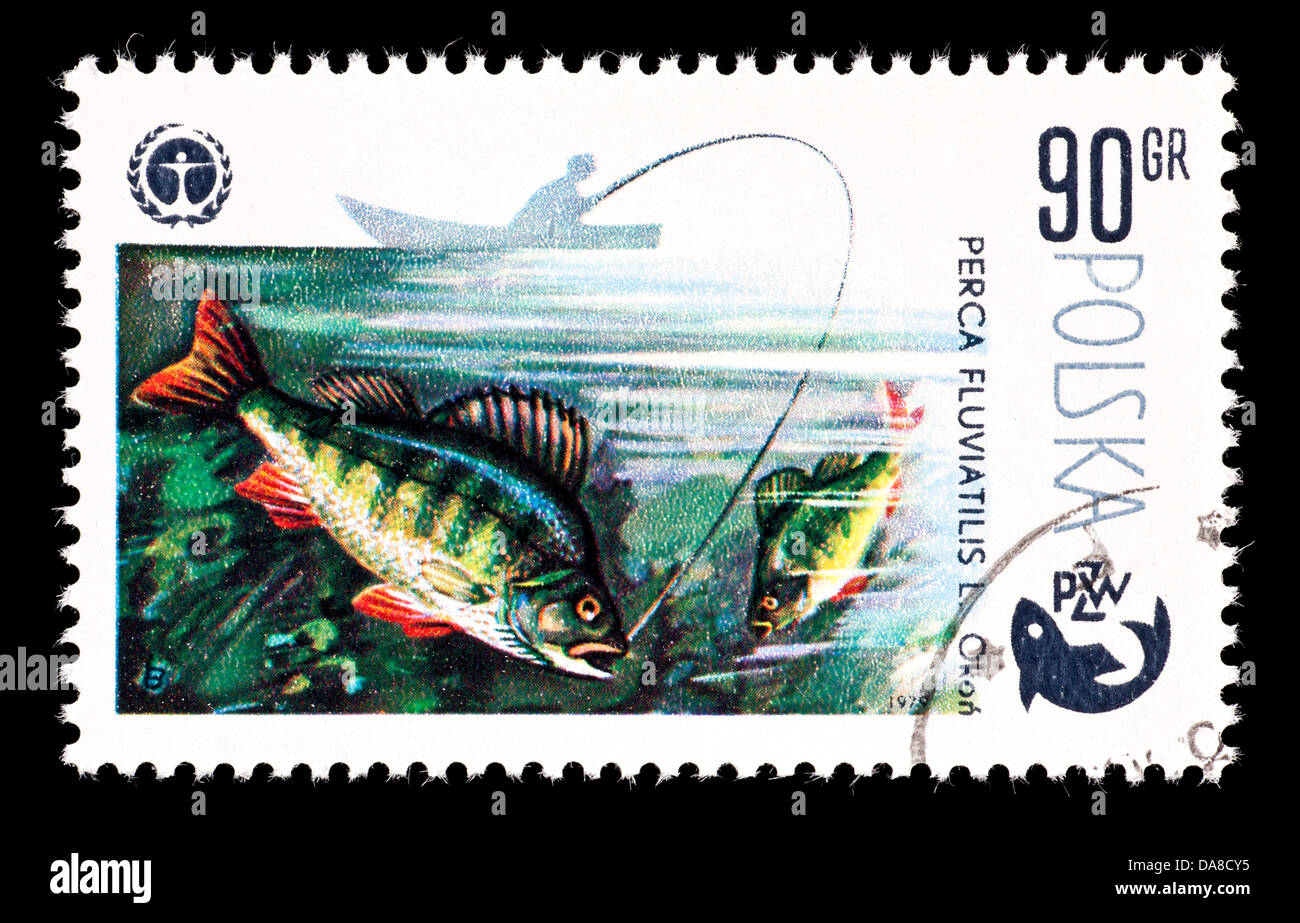 Postage stamp from Poland depicting a fisherman a European perch (Perca fluviatilis) Stock Photo