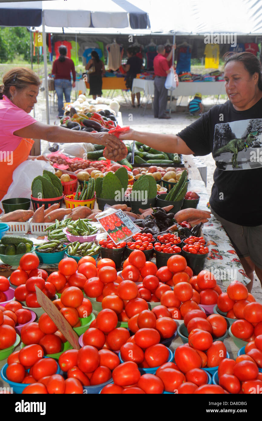 Florida labelle flea market farmers hires stock photography and images