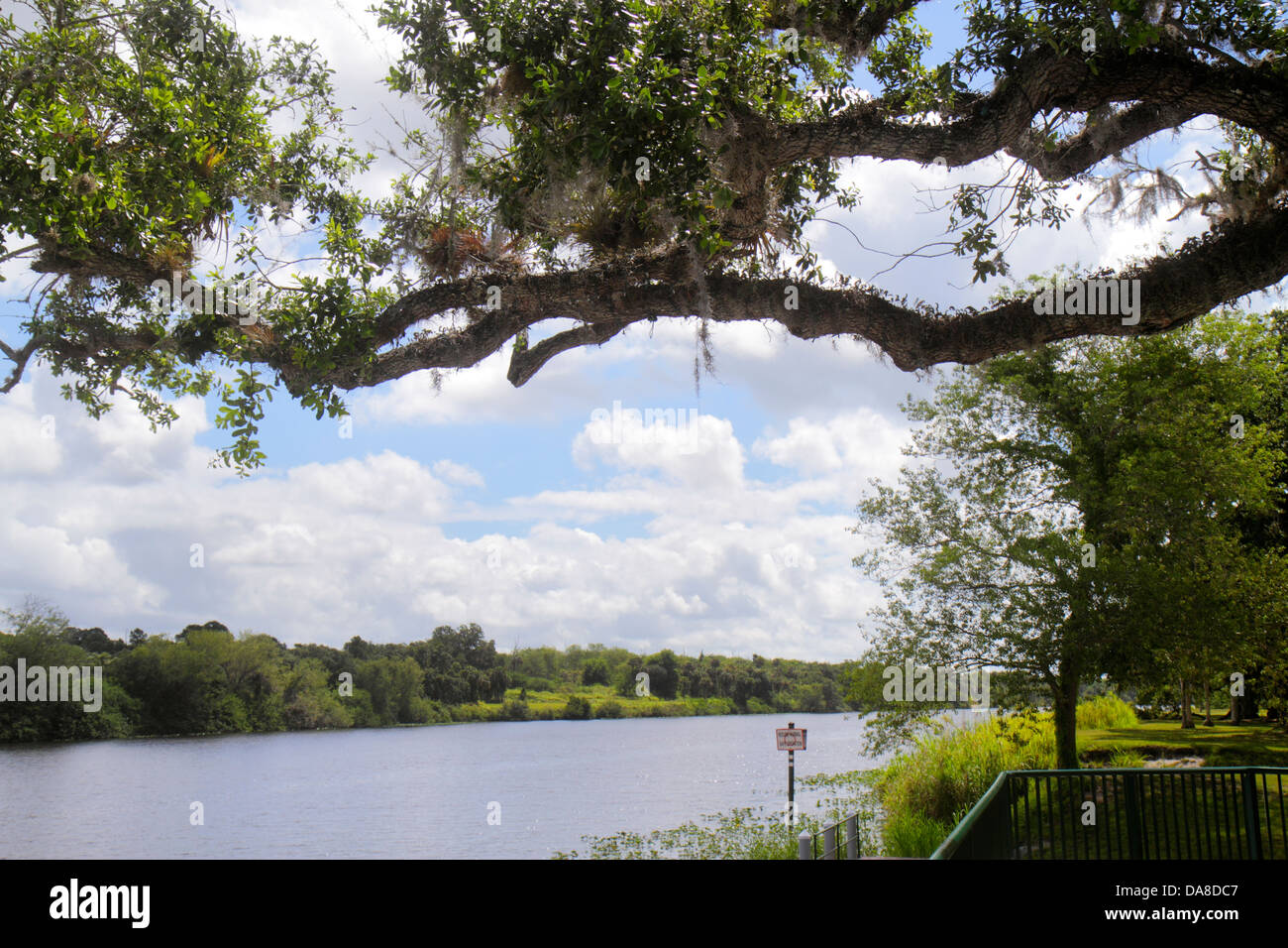 Florida LaBelle,Barron Park,live oak tree trees,Caloosahatchee River