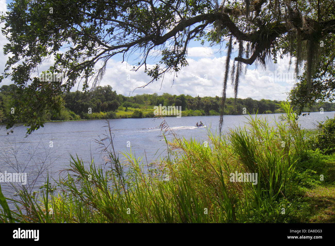Florida,LaBelle,Caloosahatchee River,boat,live oak,Spanish moss ...