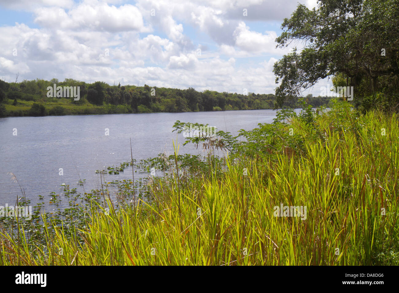 Labelle group hi-res stock photography and images - Alamy