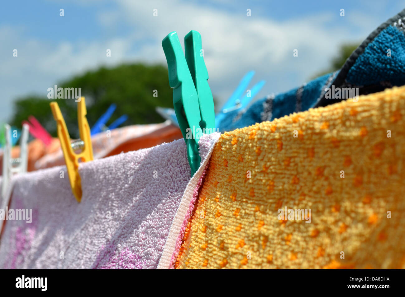 Clothes peg detail Stock Photo Alamy