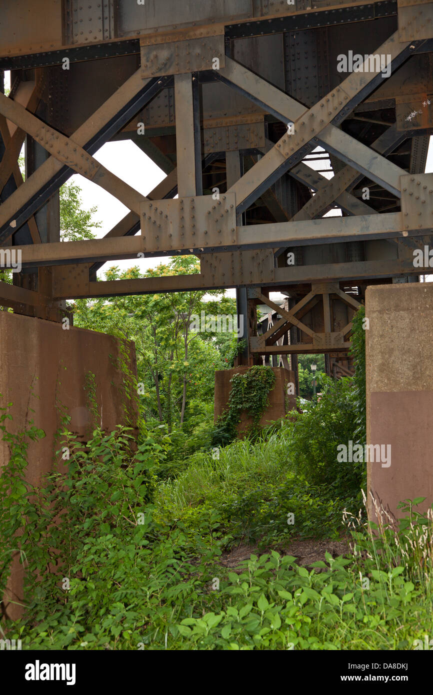 Overgrown area under the train tracks in Richmond, VA Stock Photo Alamy