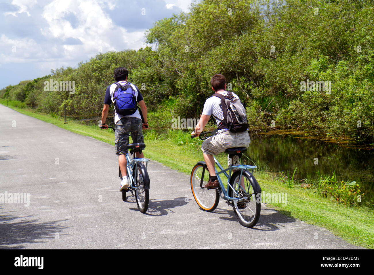 Miami Florida,Tamiami Trail,Everglades National Park,Shark Valley,bike trail,rental bicycles,teen teens teenage teenager teenagers youth adolescent,bo Stock Photo