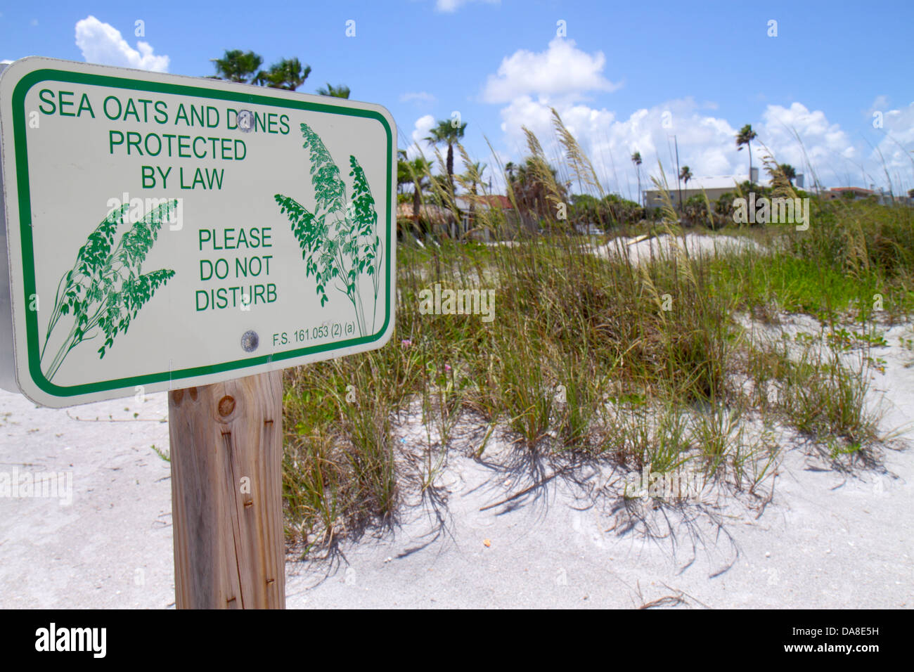 Saint St. Petersburg Florida,Indian Rocks Beach,sand,dune grass,sea ...