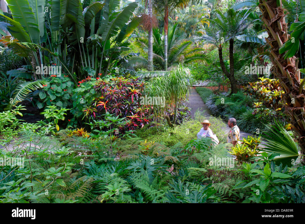 Sunken Gardens Tampa : Posts Tagged Sunken Gardens Wedding Lensspell