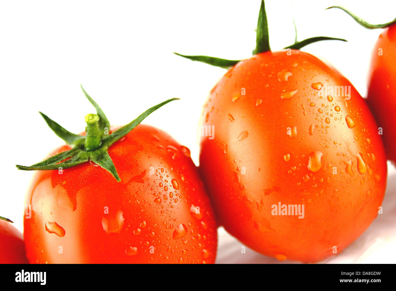 fresh tomatoes with green leaves and water drops on white background ...