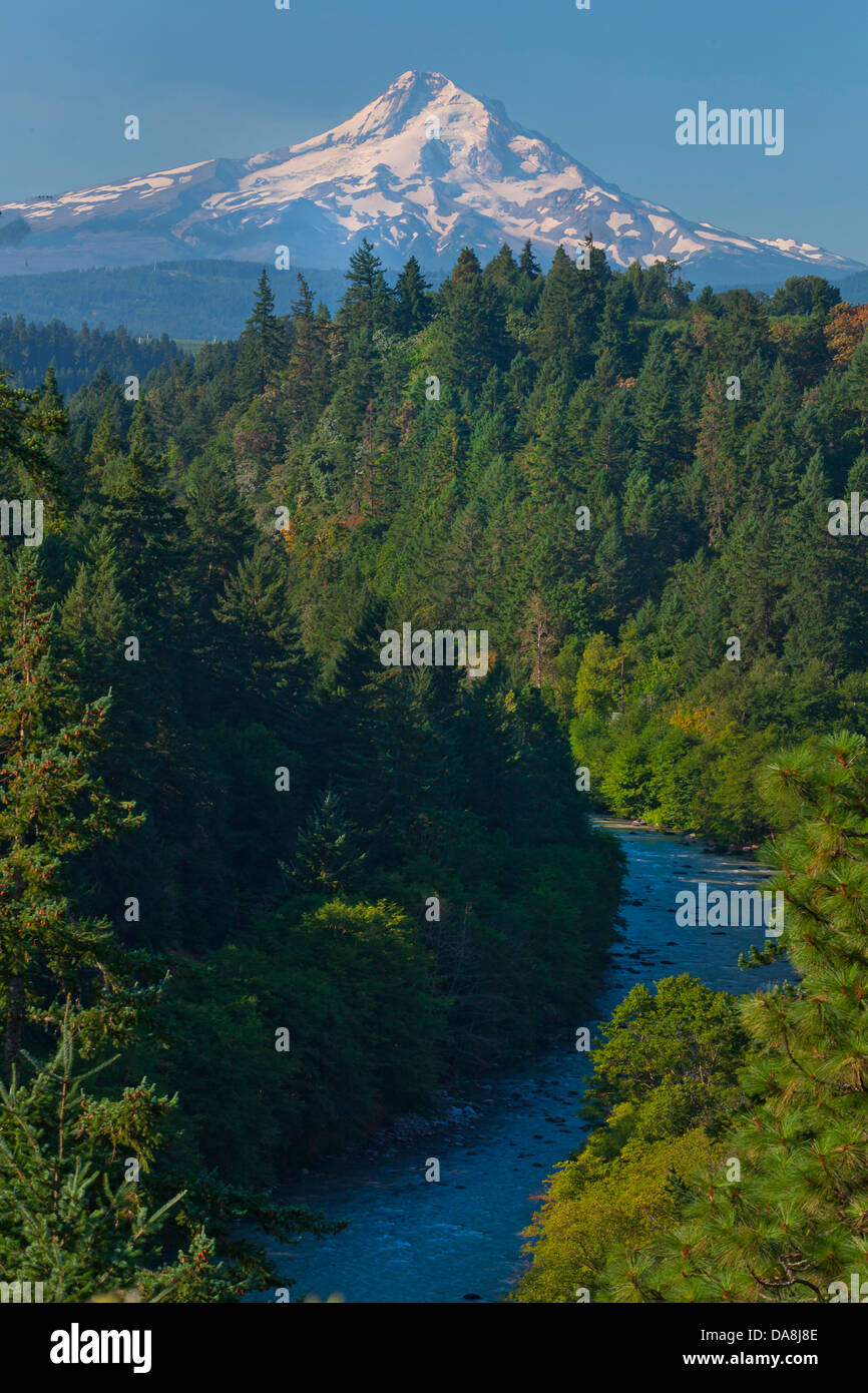USA, United States, America, Oregon, McKenzie, River, MacKenzie, Mount
