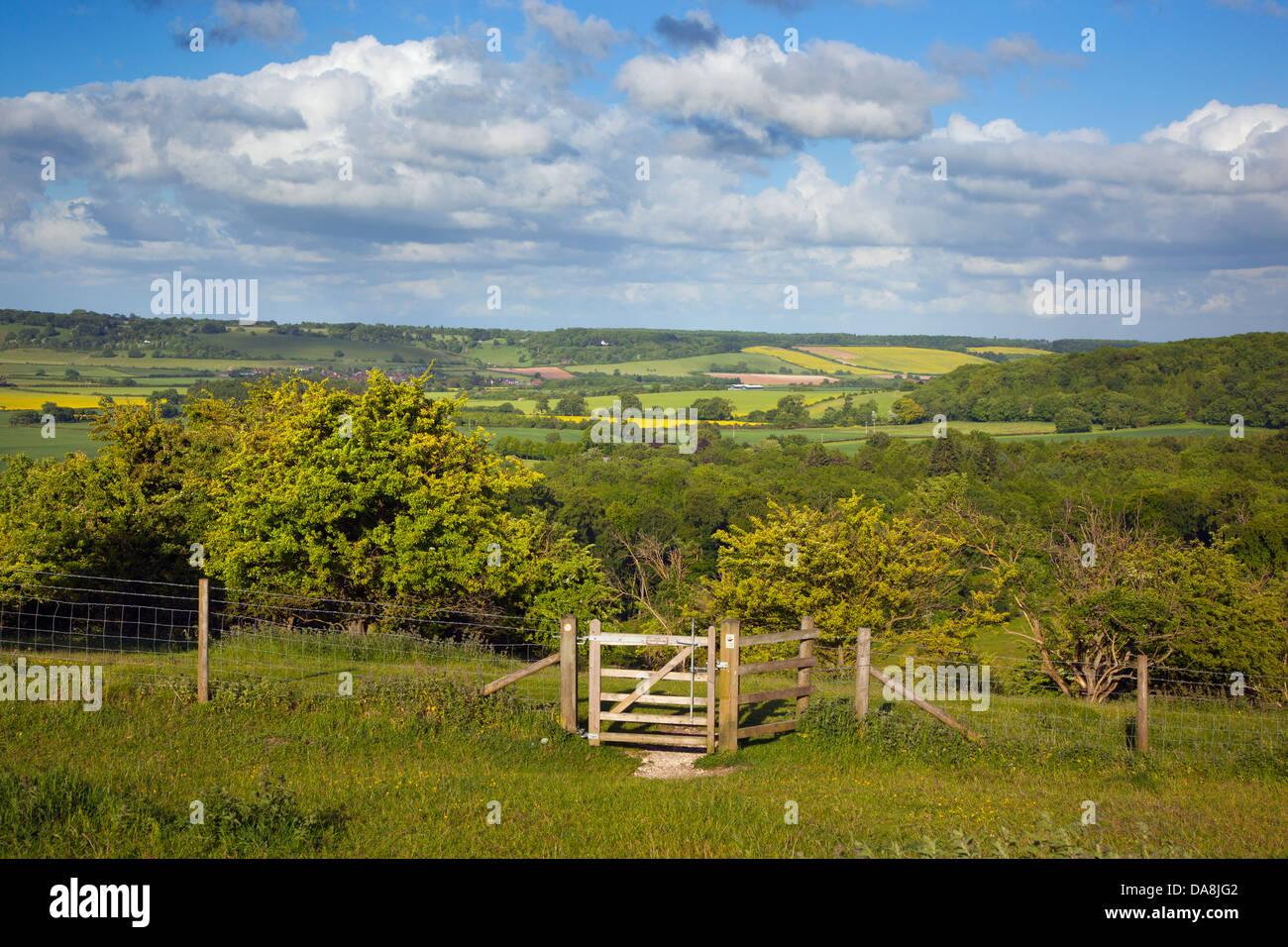 Upper Gade Valley in the Chilterns From Ivinghoe Hills Beds, Herts, Bucks borders Summer Stock Photo