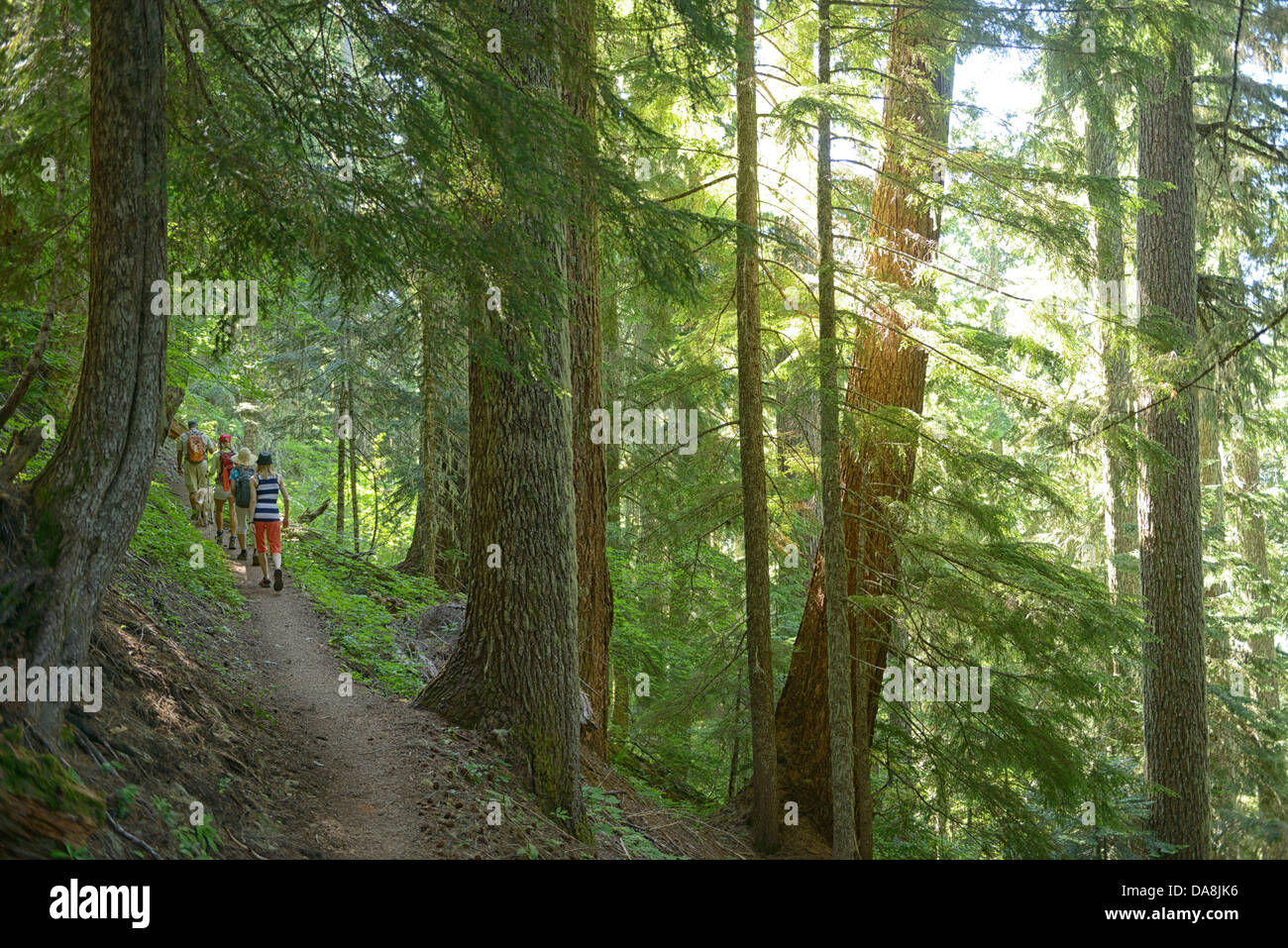 USA, United States, America, Oregon, Sisters, Cascades, Iron mountain